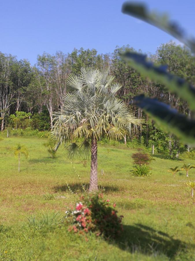 Ko LantaPalm Garden House公寓 外观 照片
