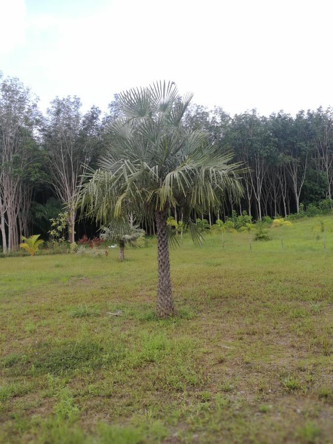 Ko LantaPalm Garden House公寓 外观 照片