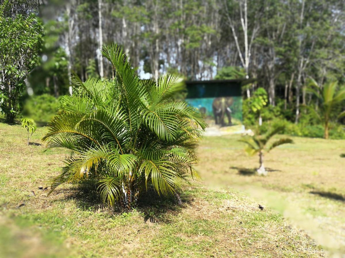 Ko LantaPalm Garden House公寓 外观 照片