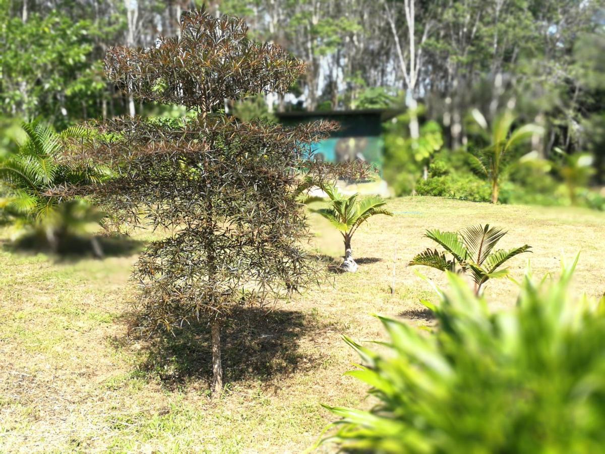 Ko LantaPalm Garden House公寓 外观 照片
