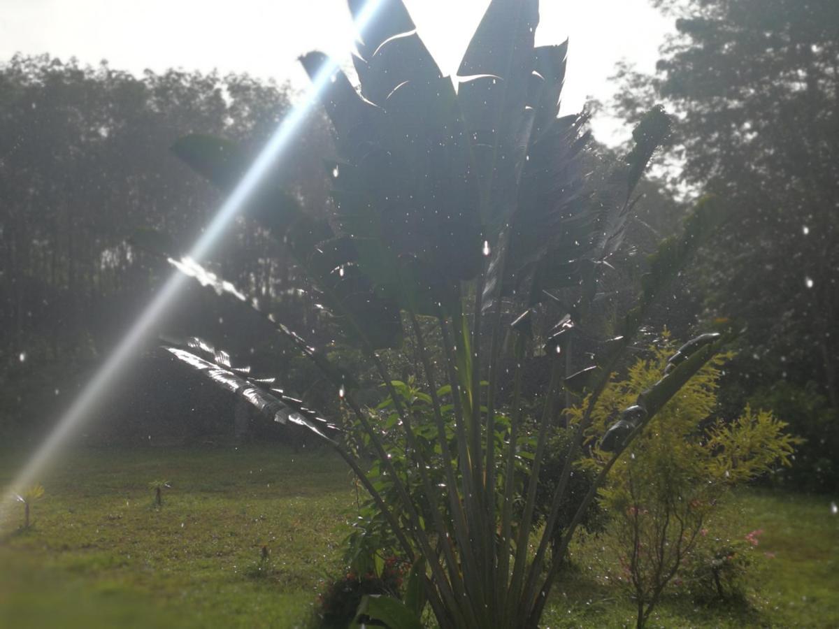 Ko LantaPalm Garden House公寓 外观 照片