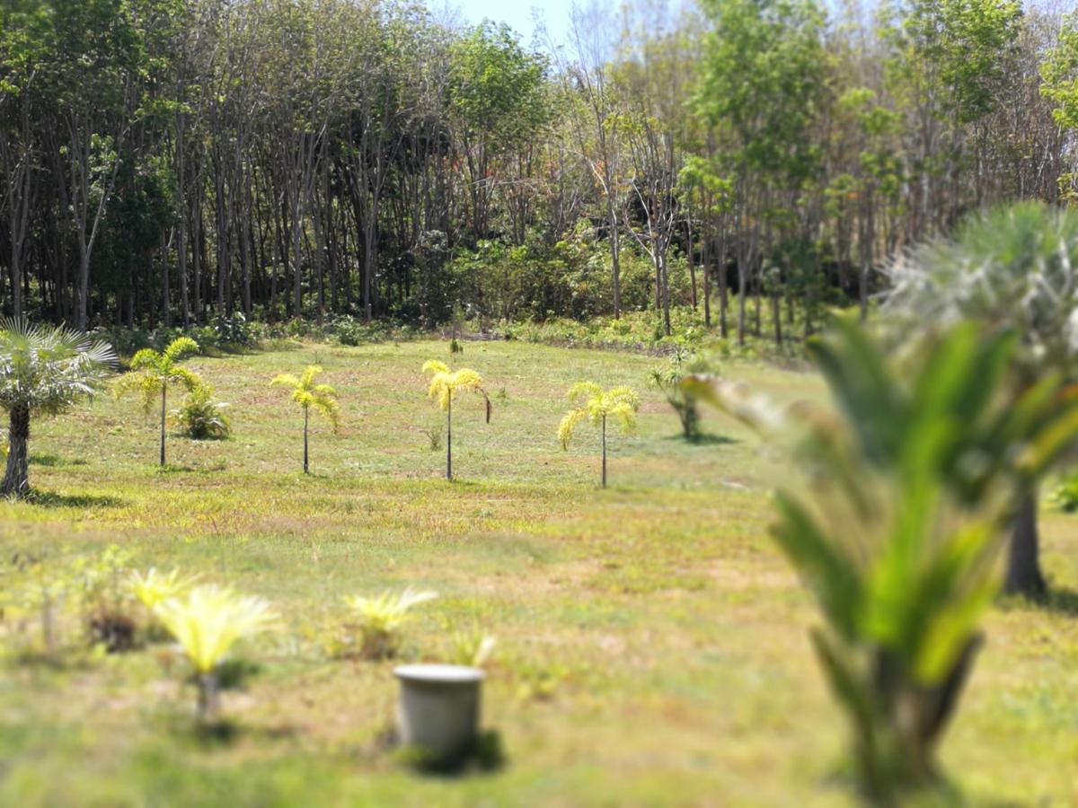 Ko LantaPalm Garden House公寓 外观 照片