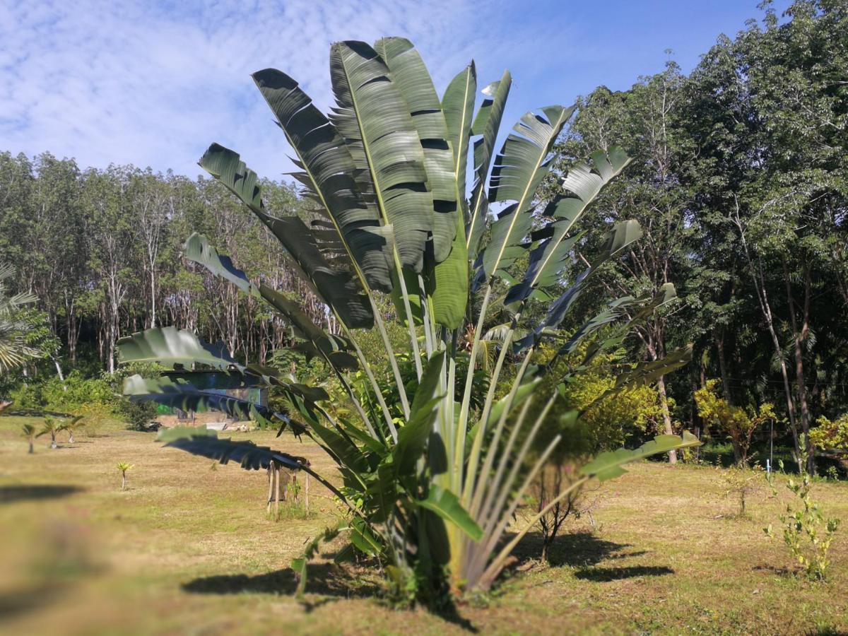 Ko LantaPalm Garden House公寓 外观 照片
